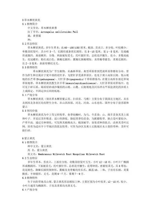 内蒙古豆科植物二