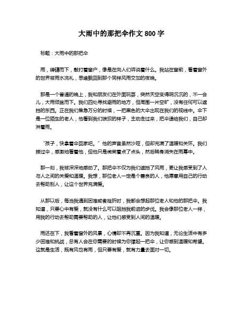 大雨中的那把伞作文800字