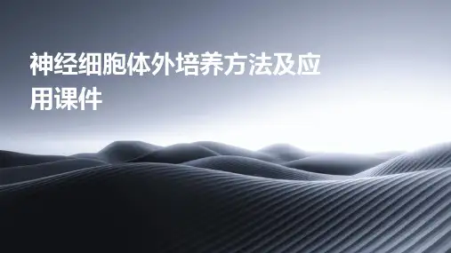神经细胞体外培养方法及应用课件