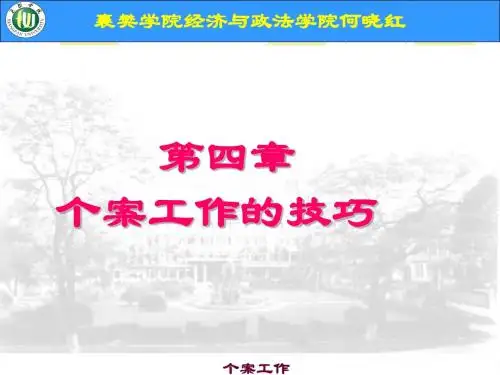 第四章 个案工作的技巧