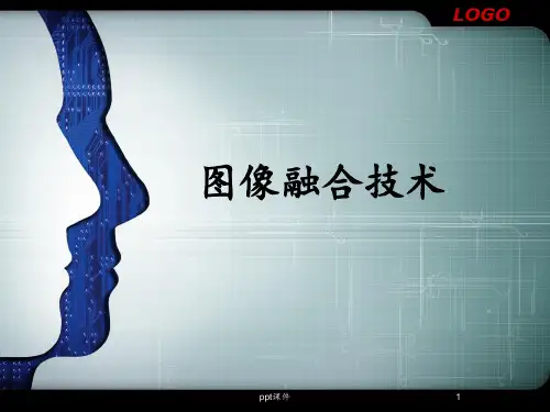 图像融合技术  ppt课件