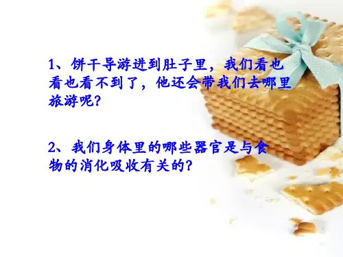 四年级上册科学课件4.5食物在体内的旅行教科版共24张PPT