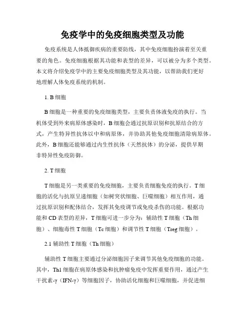 免疫学中的免疫细胞类型及功能