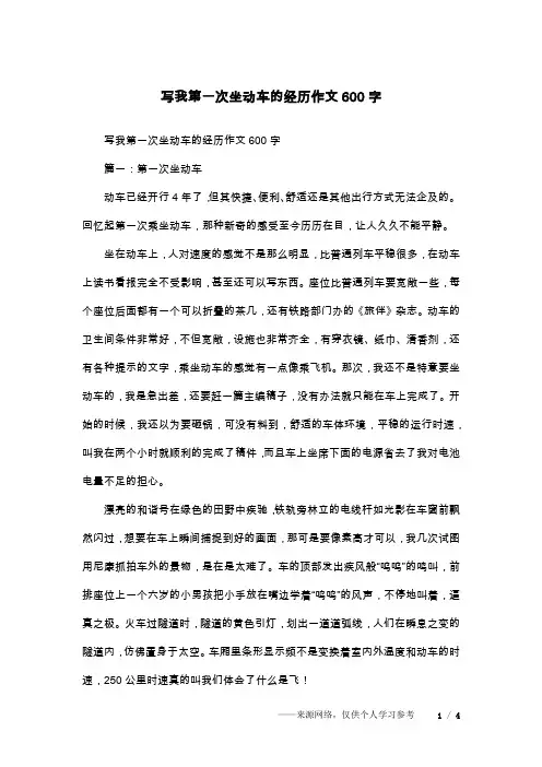 写我第一次坐动车的经历作文600字