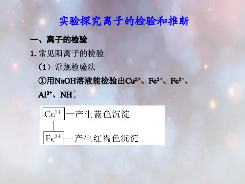 离子的检验和推断PPT教学课件