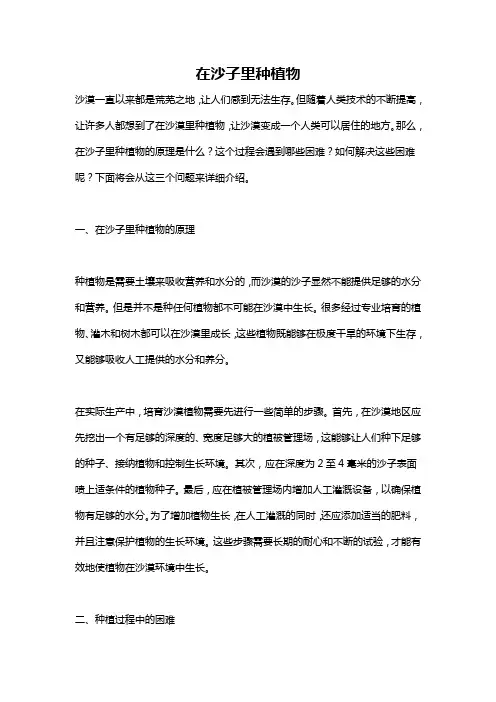 在沙子里种植物