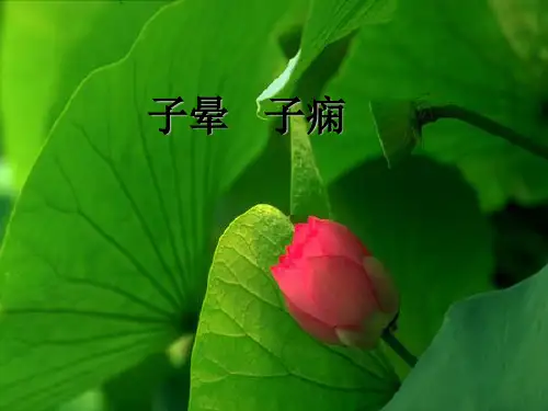 中医妇科学课件--妊娠病·子晕子痫