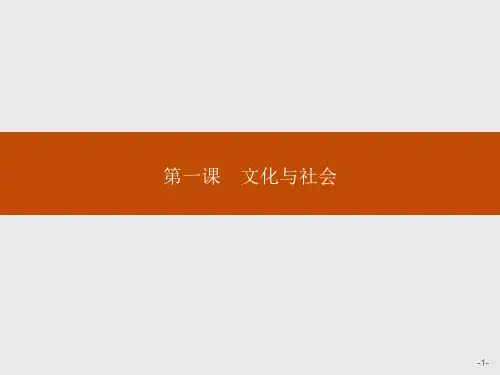 人教版高中政治必修3课件第一单元第一课第一框体味文化