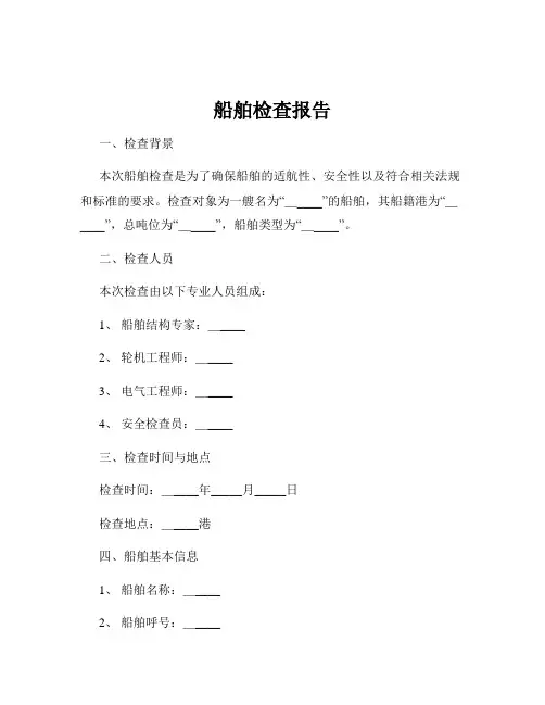 船舶检查报告