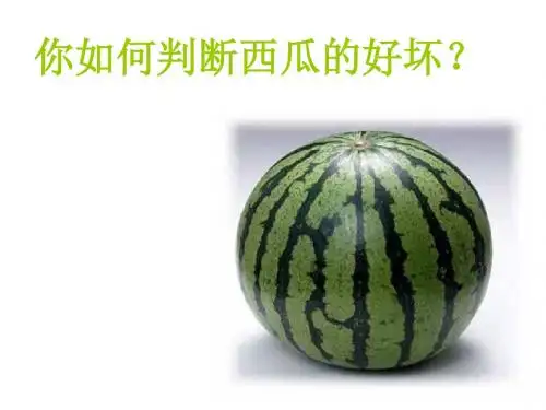 地球的圈层结构 PPT课件 课件12 中图版