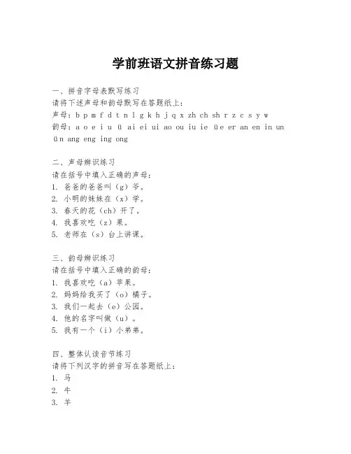 学前班语文拼音练习题