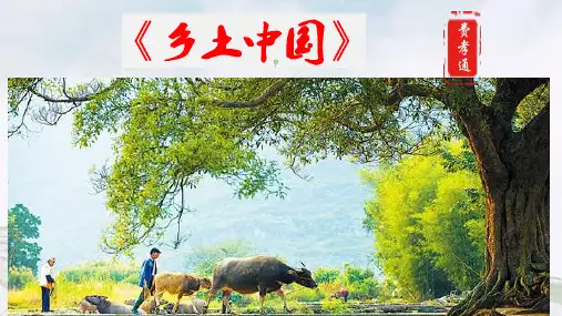 【高中语文】《乡土中国》礼治秩序+课件27张+统编版高中语文必修上册