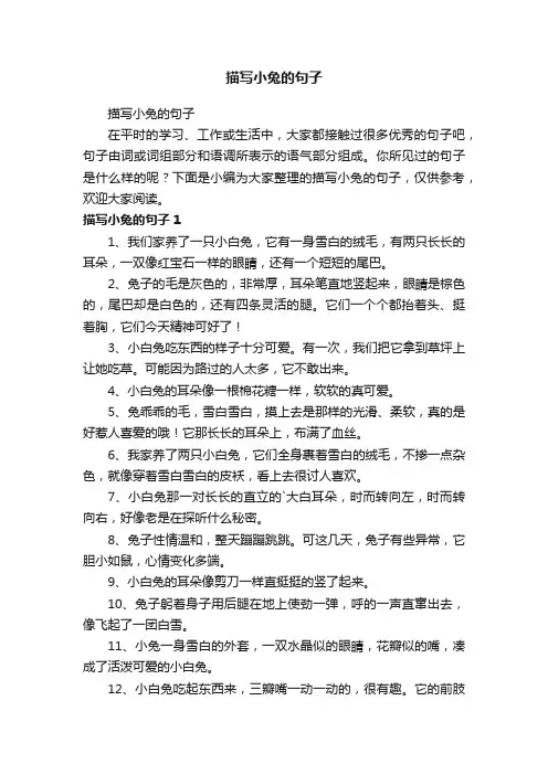描写小兔的句子