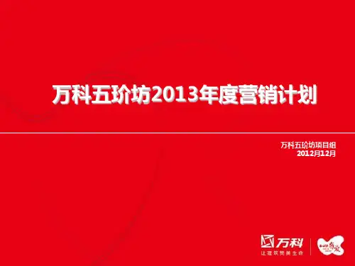 万科五玠坊X年度营销计划