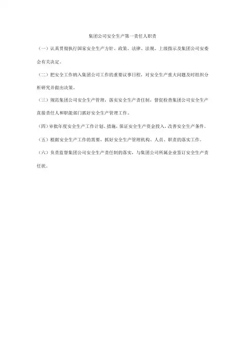 集团公司安全生产第一责任人职责