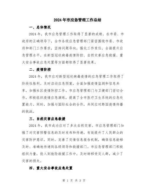 2024年市应急管理工作总结