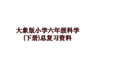 大象版小学六年级科学(下册)总复习资料