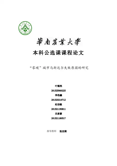 无碳城市马斯达尔分析论文