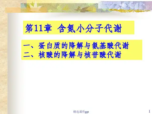《含氮小分子》PPT课件