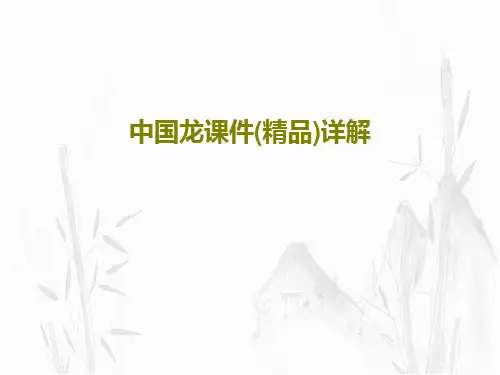 中国龙课件(精品)详解42页PPT
