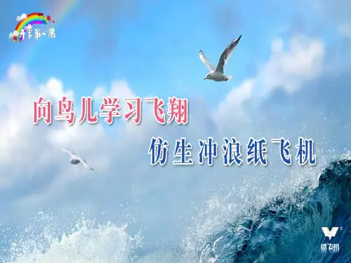 冲浪纸飞机的制作与飞行ppt课件