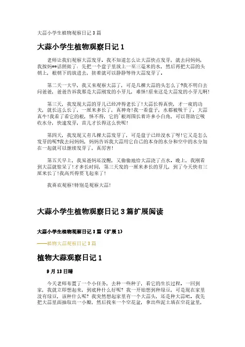 大蒜小学生植物观察日记3篇