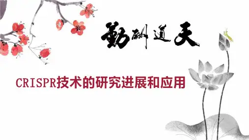 CRISPR技术的研究进展和应用