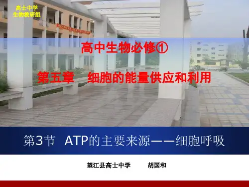 ATP的主要来源——细胞呼吸 说课