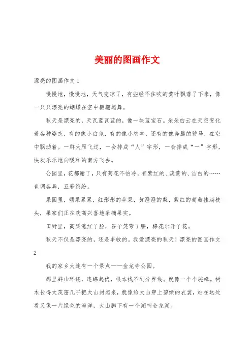 美丽的图画作文