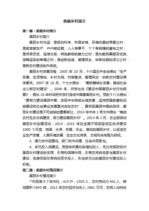 美丽乡村简介
