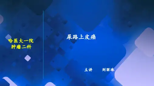 尿路上皮癌ppt课件