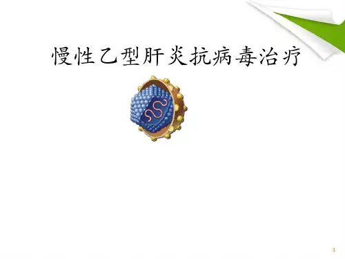 乙肝抗病毒精品PPT课件