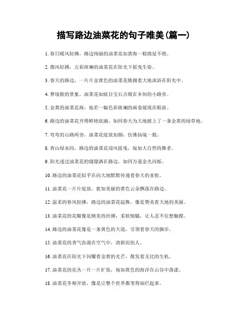 描写路边油菜花的句子唯美(精选2篇)