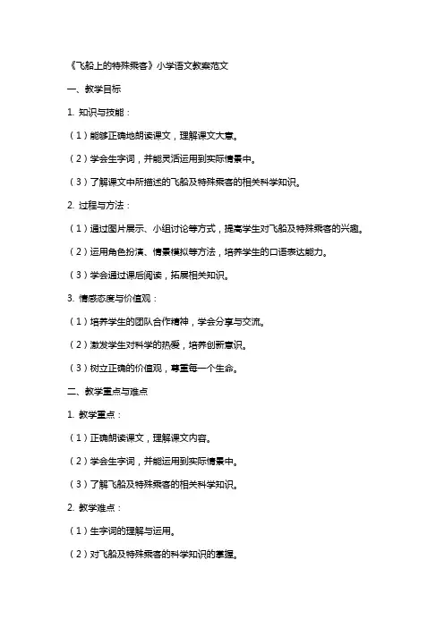 《飞船上的特殊乘客》小学语文教案范文