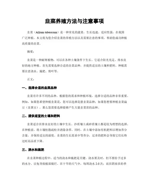 韭菜养殖方法与注意事项