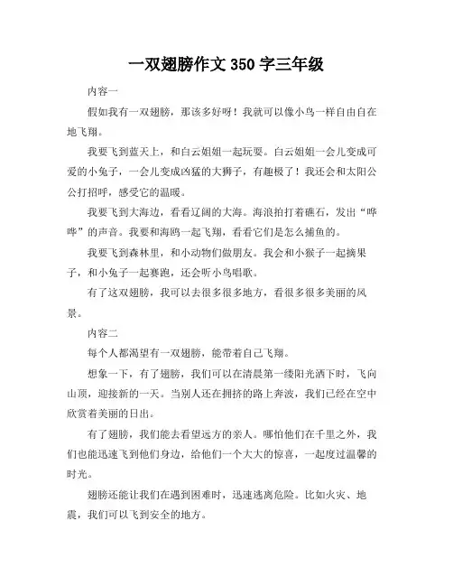 一双翅膀作文350字三年级