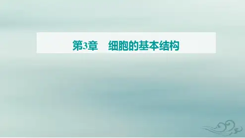 高中生物第3章细胞的基本结构第1节细胞膜的结构和功能新人教版必修1