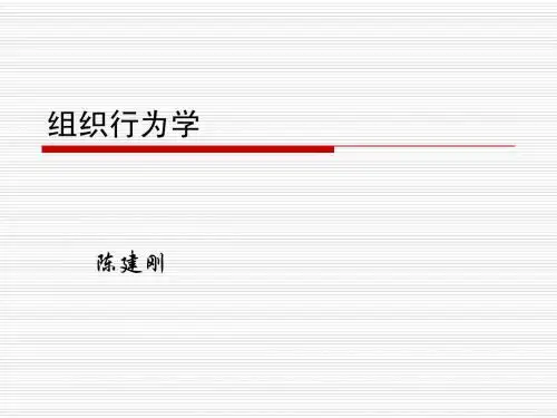 第二章  个体行为基础