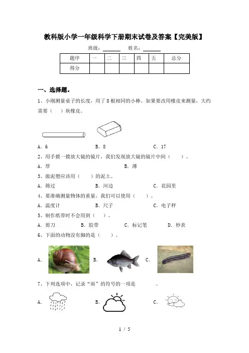教科版小学一年级科学下册期末试卷及答案【完美版】