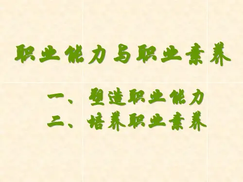 职业能力和职业素养