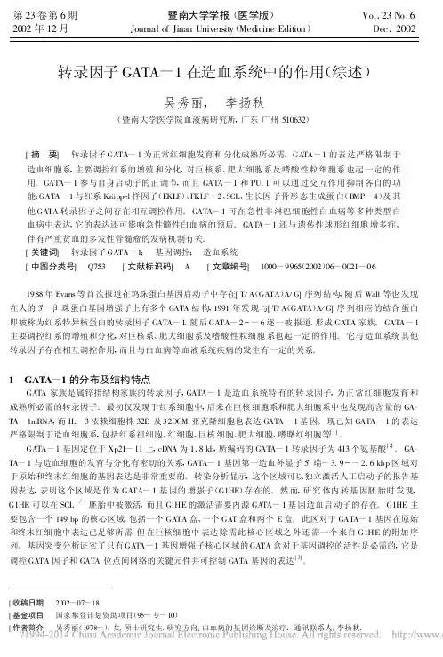 转录因子GATA_1在造血系统中的作用_综述_吴秀丽