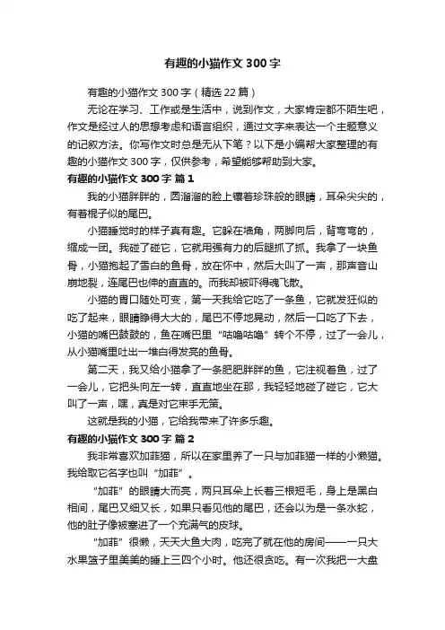 有趣的小猫作文300字（精选22篇）
