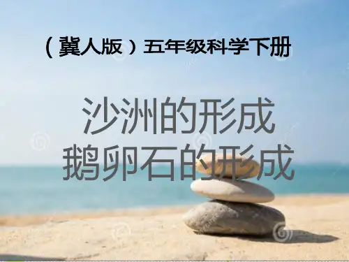 五年级科学下册_14沙洲的形成冀人版ppt(16张)标准课件