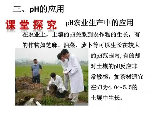 三、PH的应用