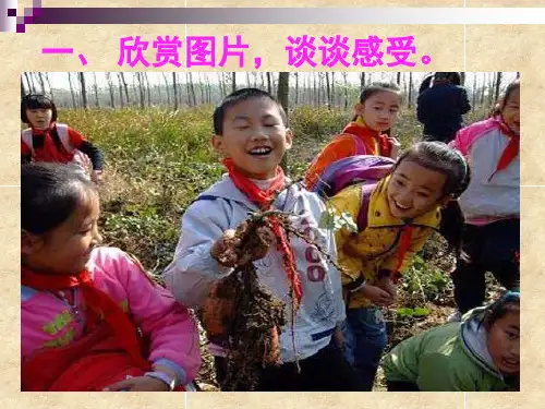 快乐的劳动者课件
