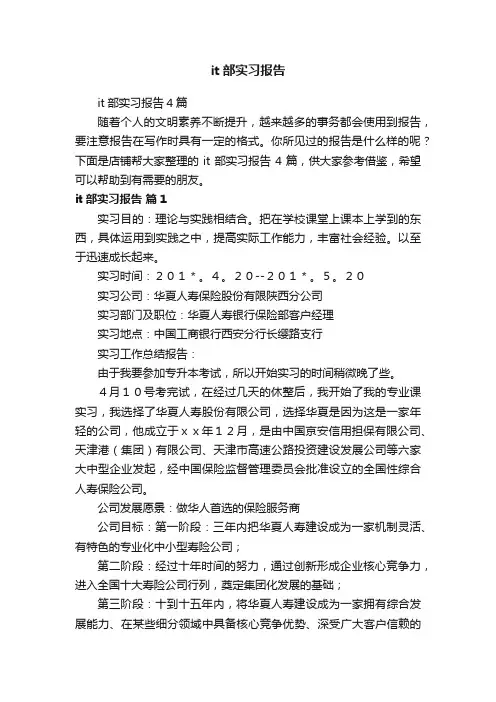 it部实习报告