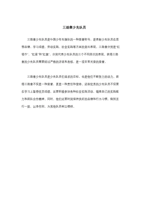 三勋章少先队员