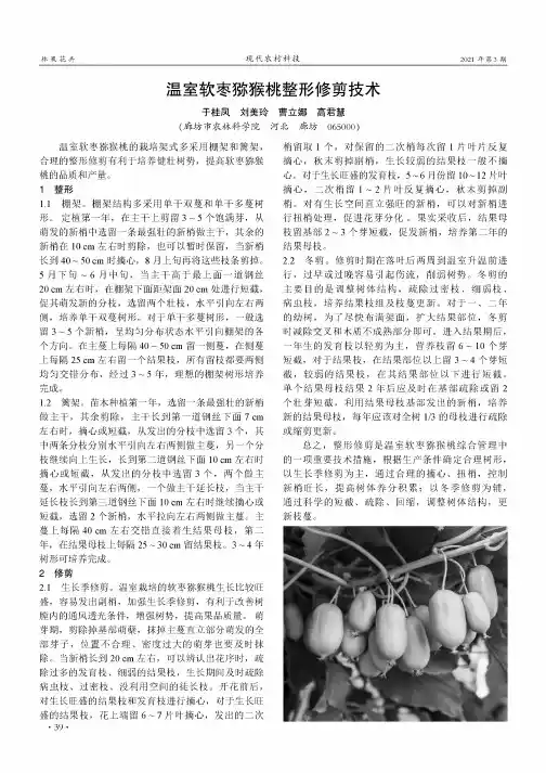 温室软枣猕猴桃整形修剪技术