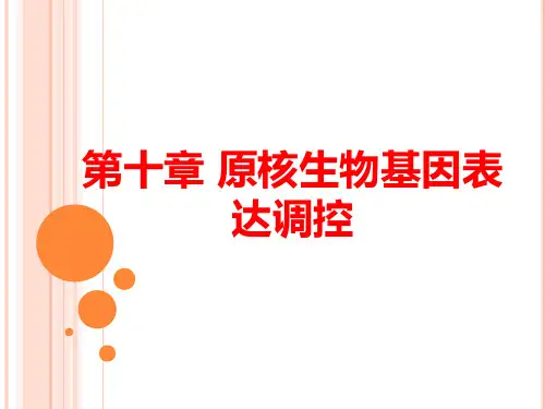 分子生物学：原核基因表达调控模式