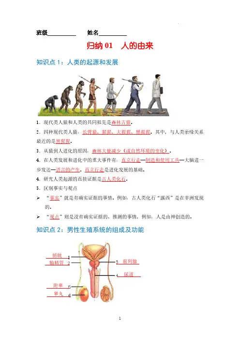 归纳01 人的由来-七年级生物必背知识清单(人教版七年级下册)0